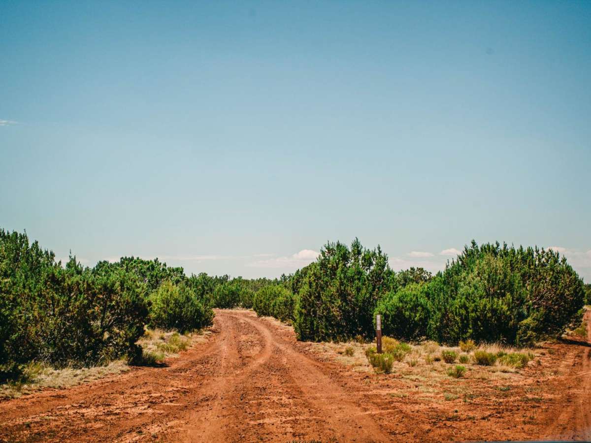 Old 115 Road trail photo