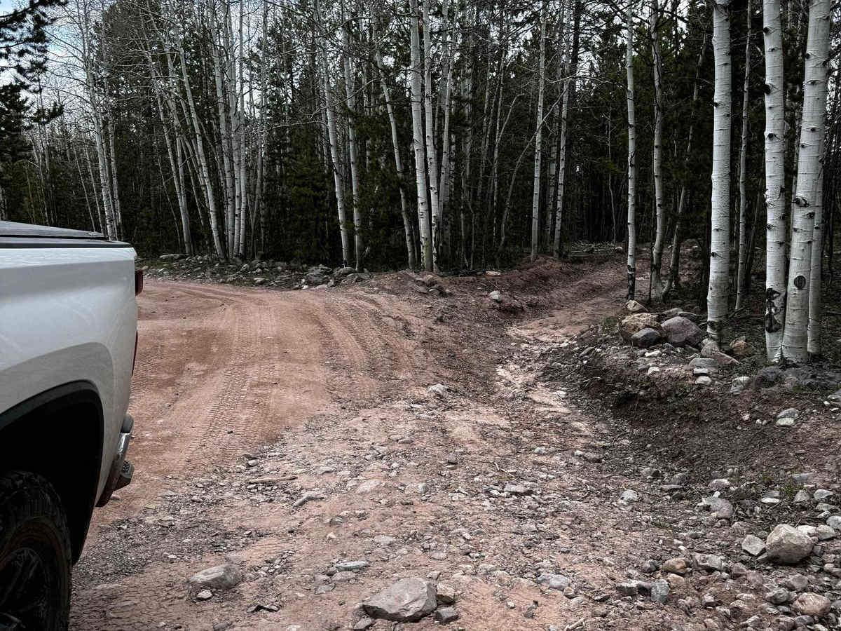 Lily Lake Road photo 3
