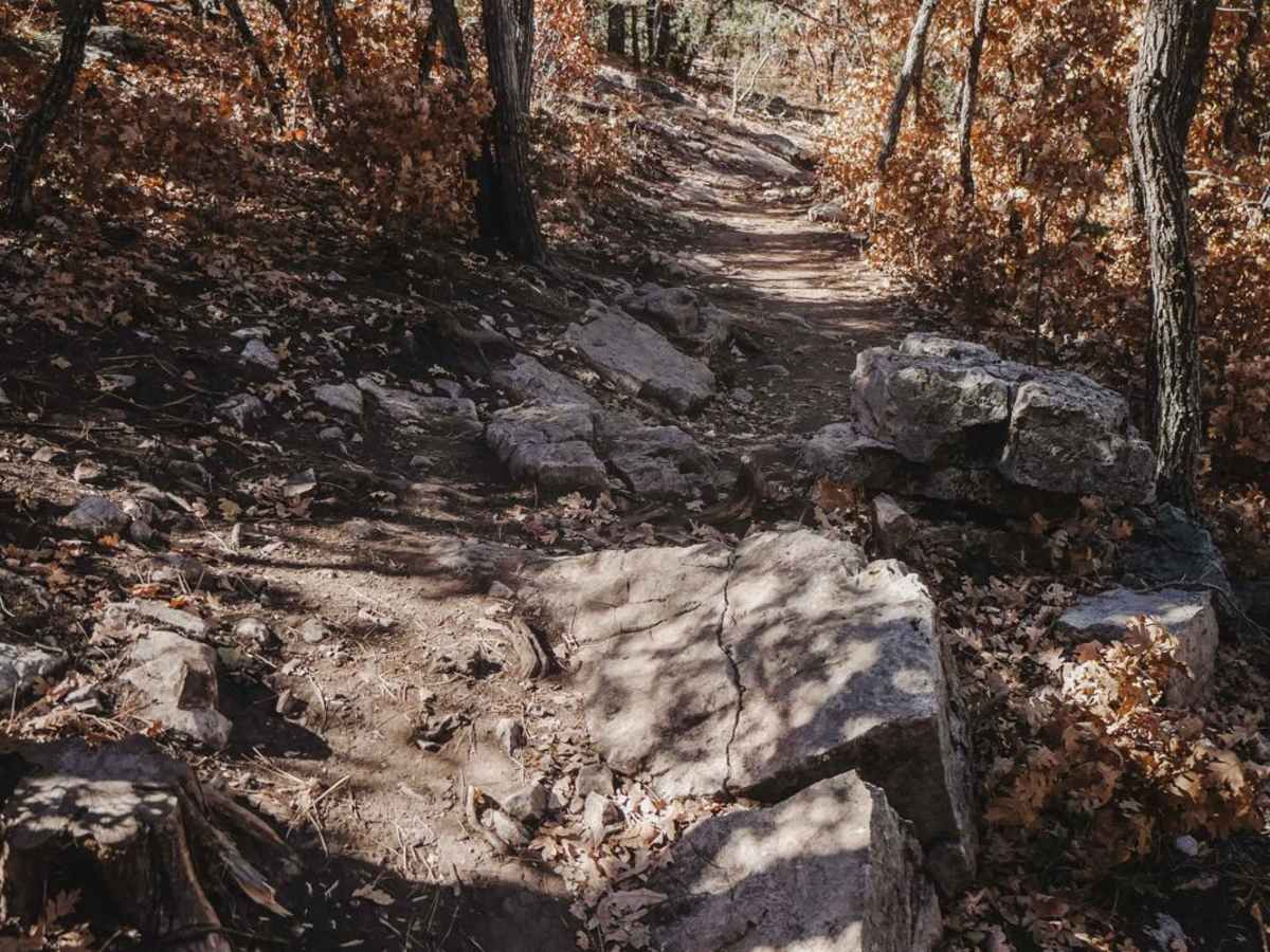 Gamble Oak trail photo