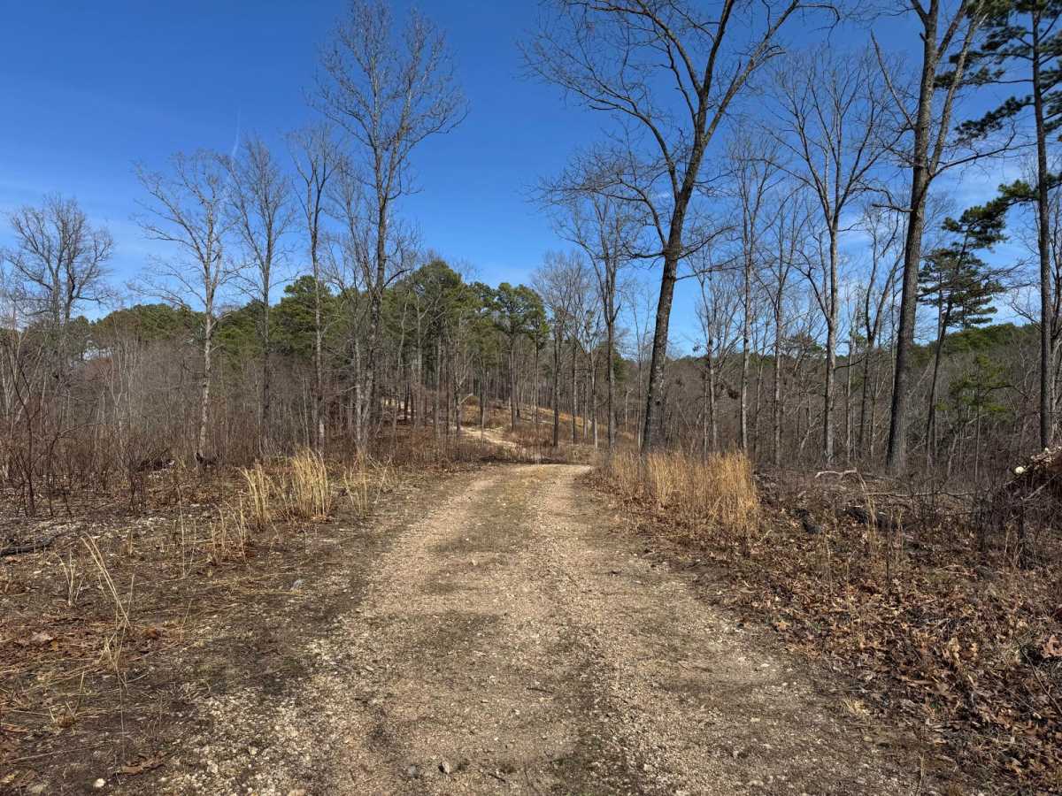 Prieskon Hollow - FSR 143 photo 4
