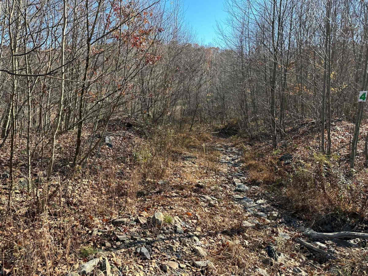 Trail 5 - 4 Crossover Trail trail photo