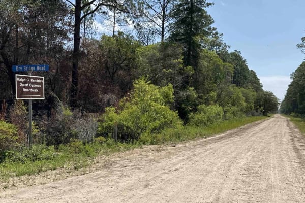 Dry Bridge Road
