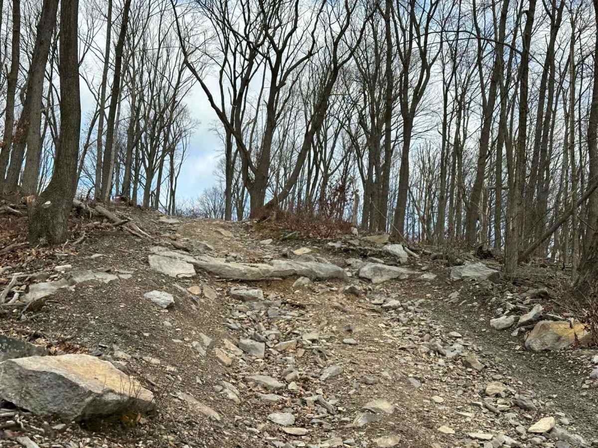 Ashland 65 photo 4