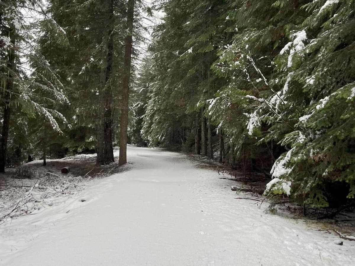 8248 OHV Dredge Trail photo 5