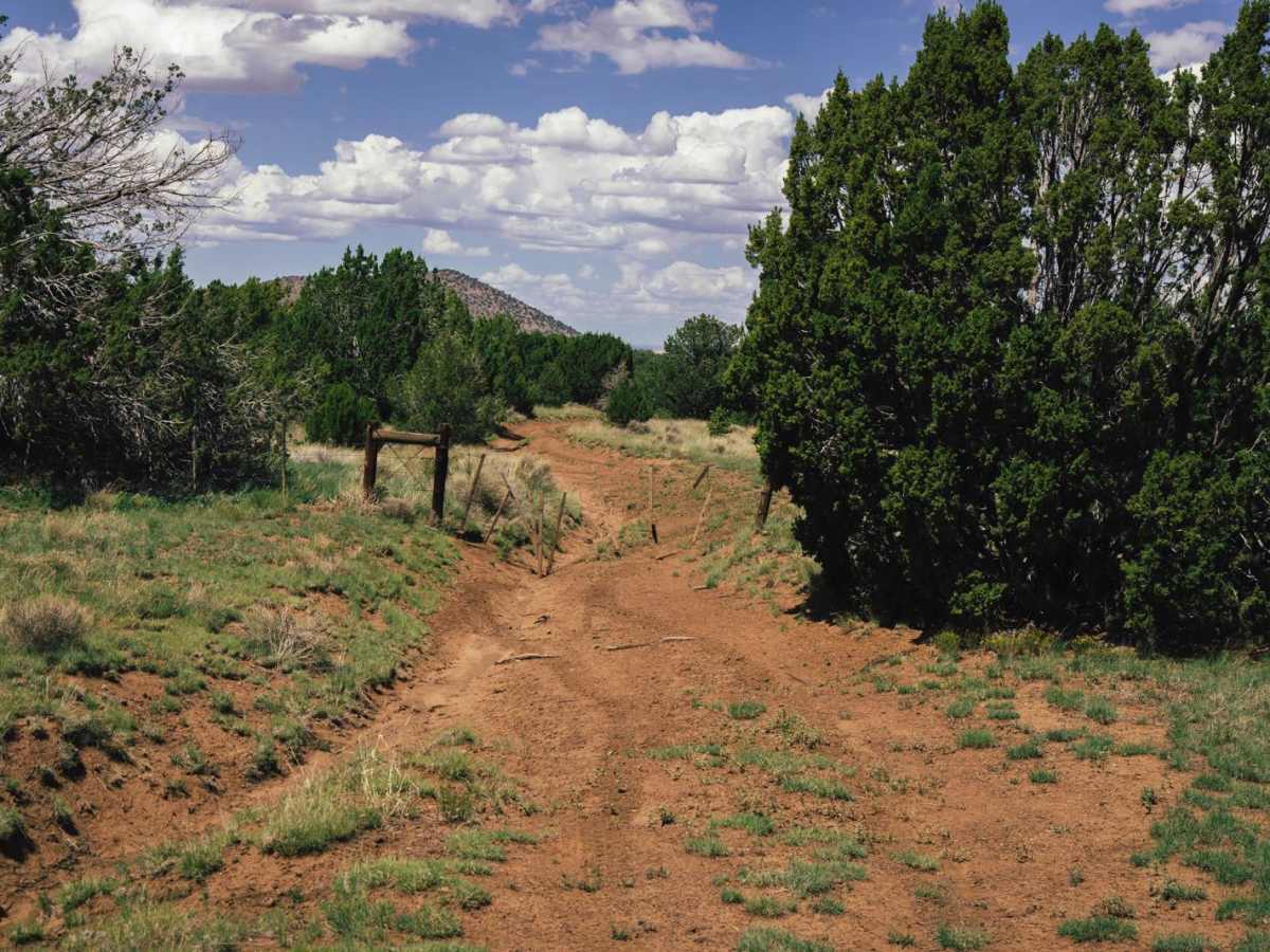 FS416a trail photo