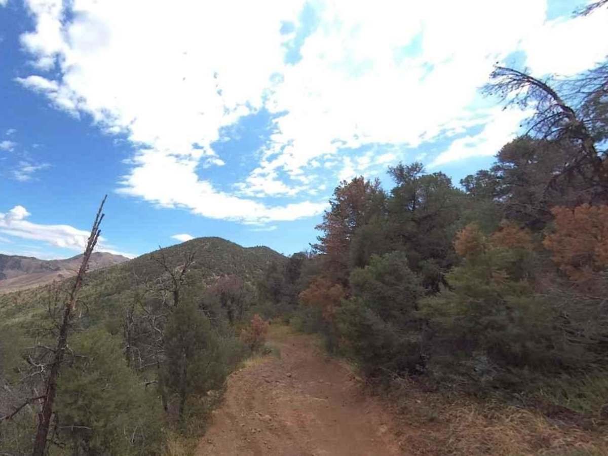 Broad Canyon Road - UCB823 photo 2