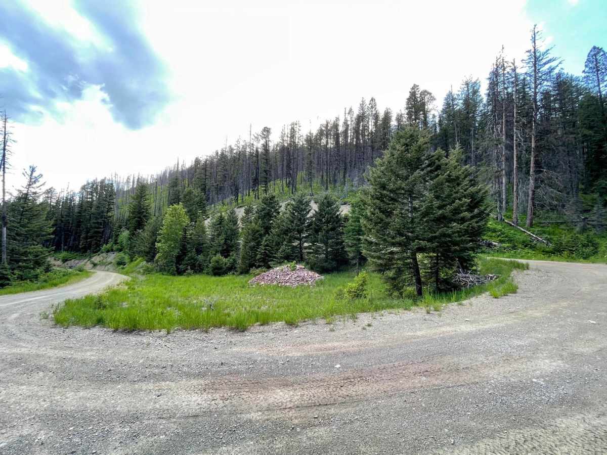 Little Stanley Creek photo 5