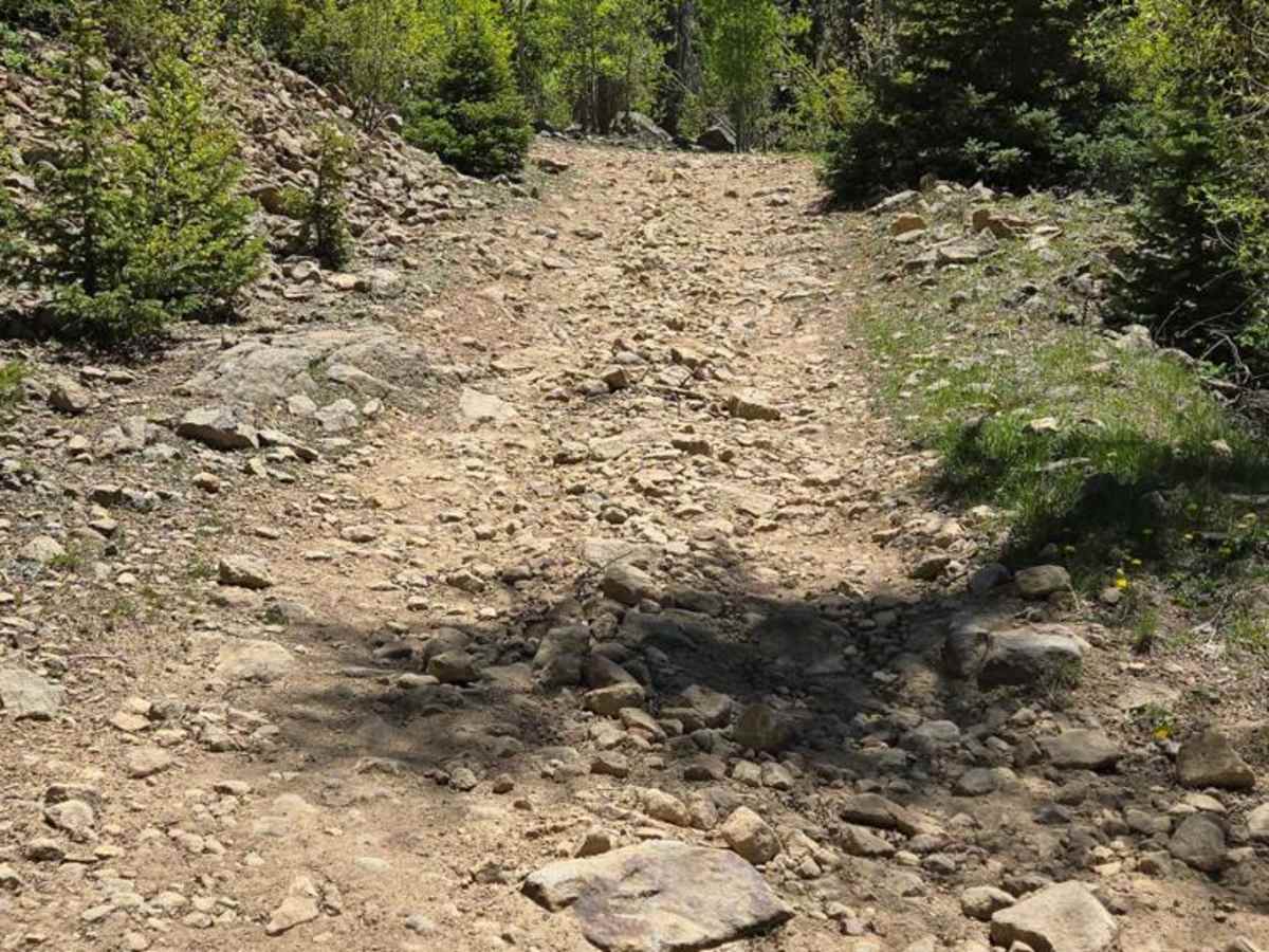 Swale Lake Loop trail photo