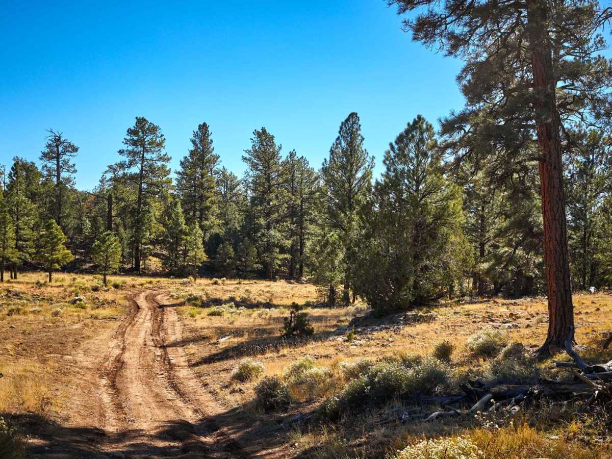 Old Road 2741 photo 6