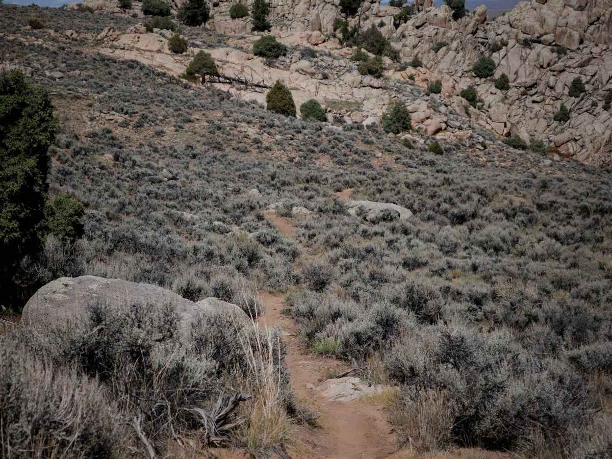 High Five trail photo