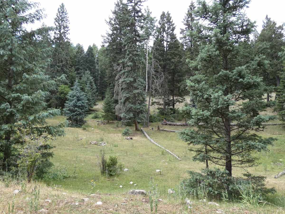 Wayne Canyon photo 5