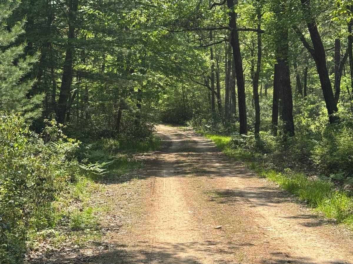 Six Mile Road photo 4