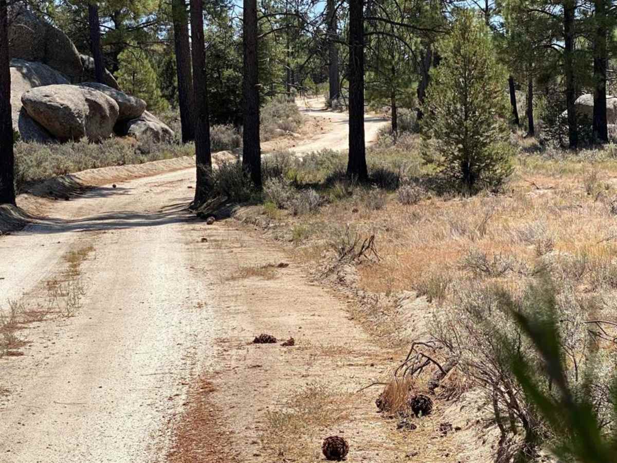 Scenic Road to Rancho Alamar photo 5