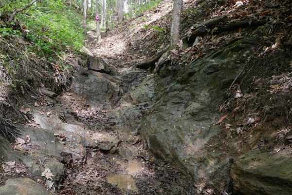 1C Shortcut