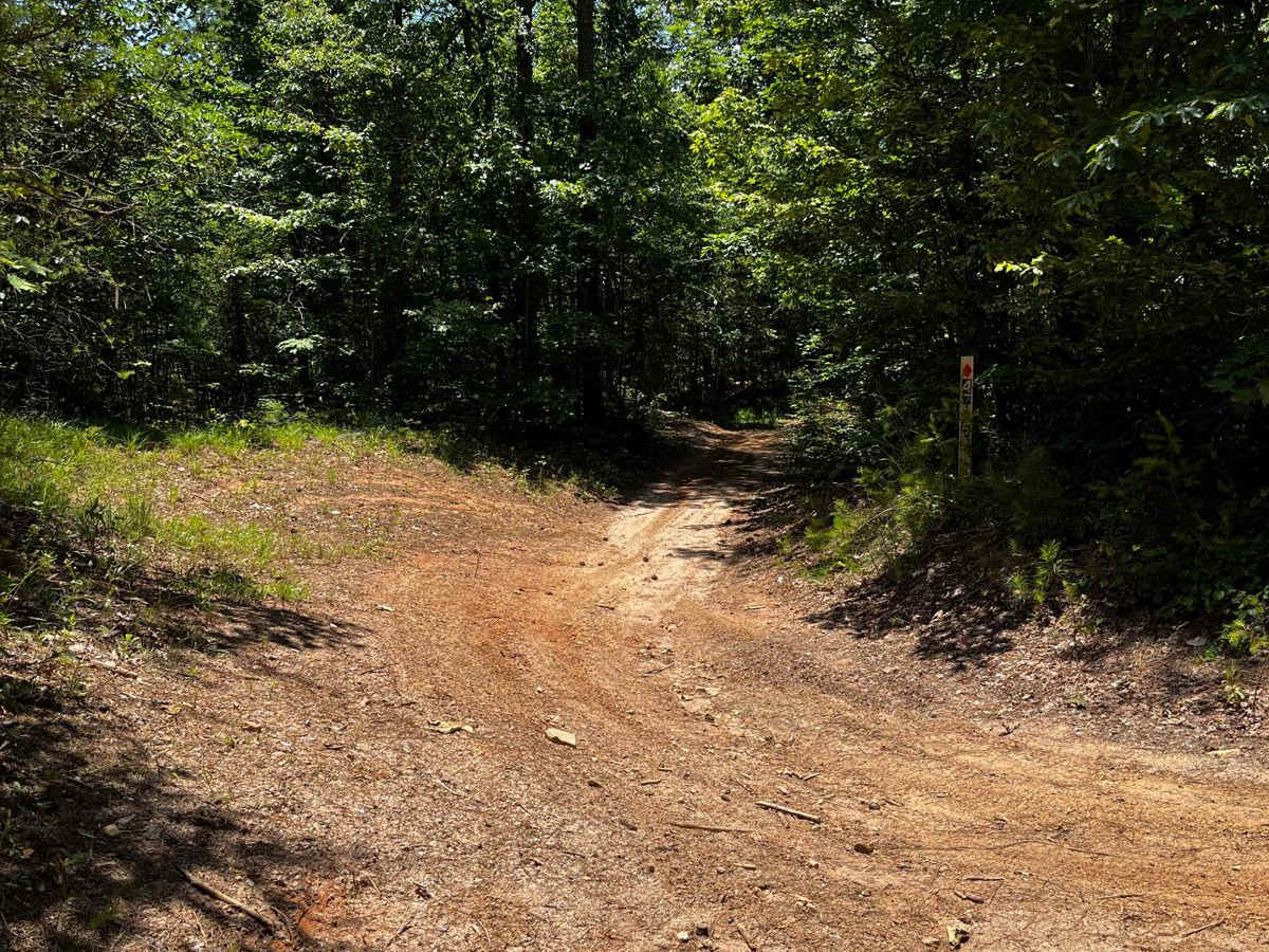 Locust Stake Ranger Run - 148 trail photo