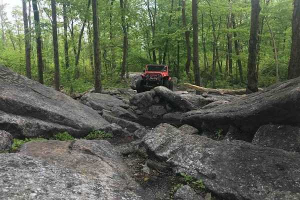 Yellow Jacket Ridge Black