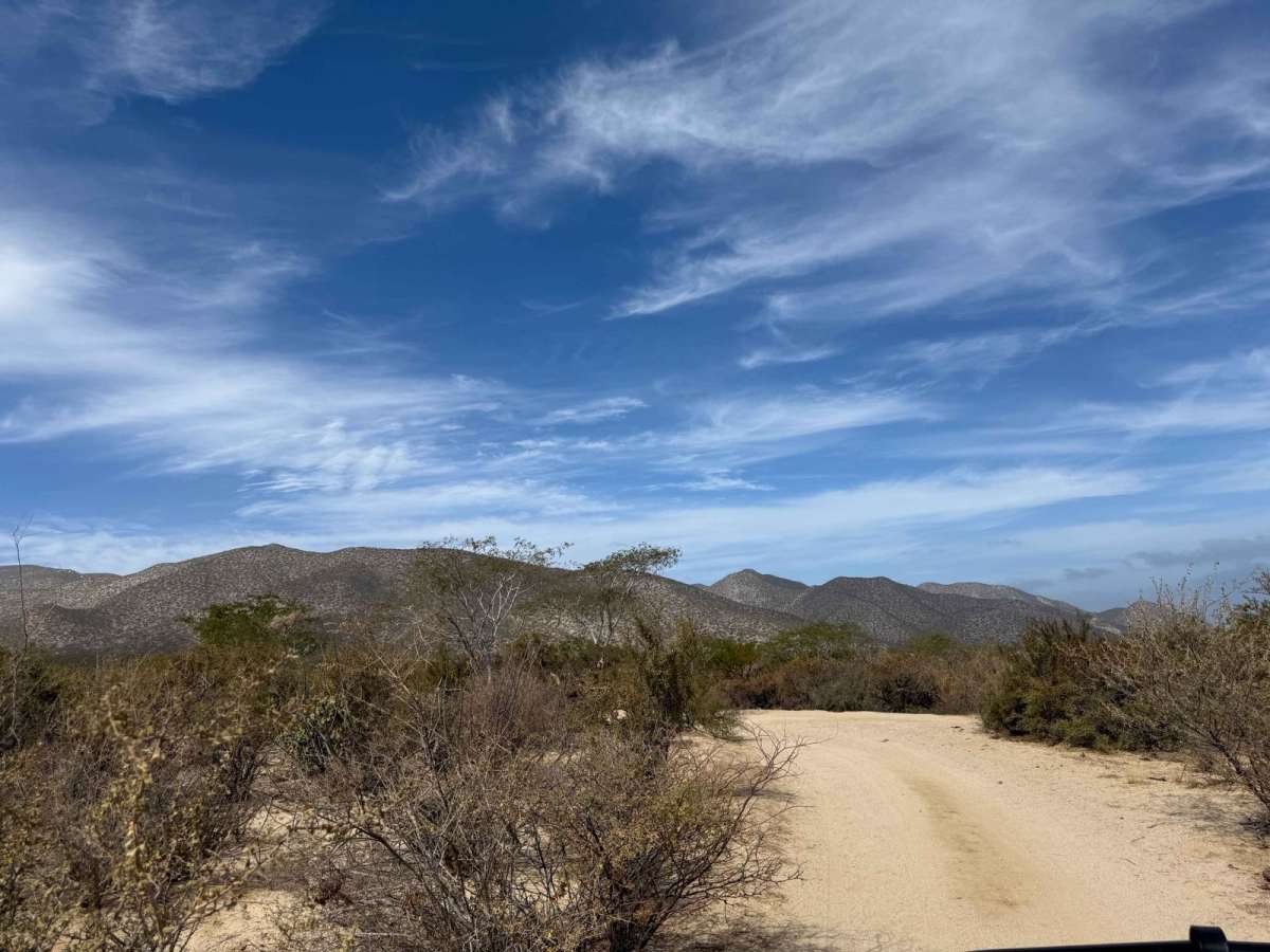 Couch Trail trail photo