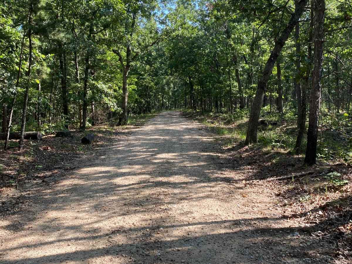 Bass River Scenic Route photo 2