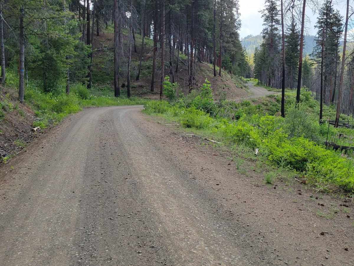 NF 4410 - Thompson Road photo 6