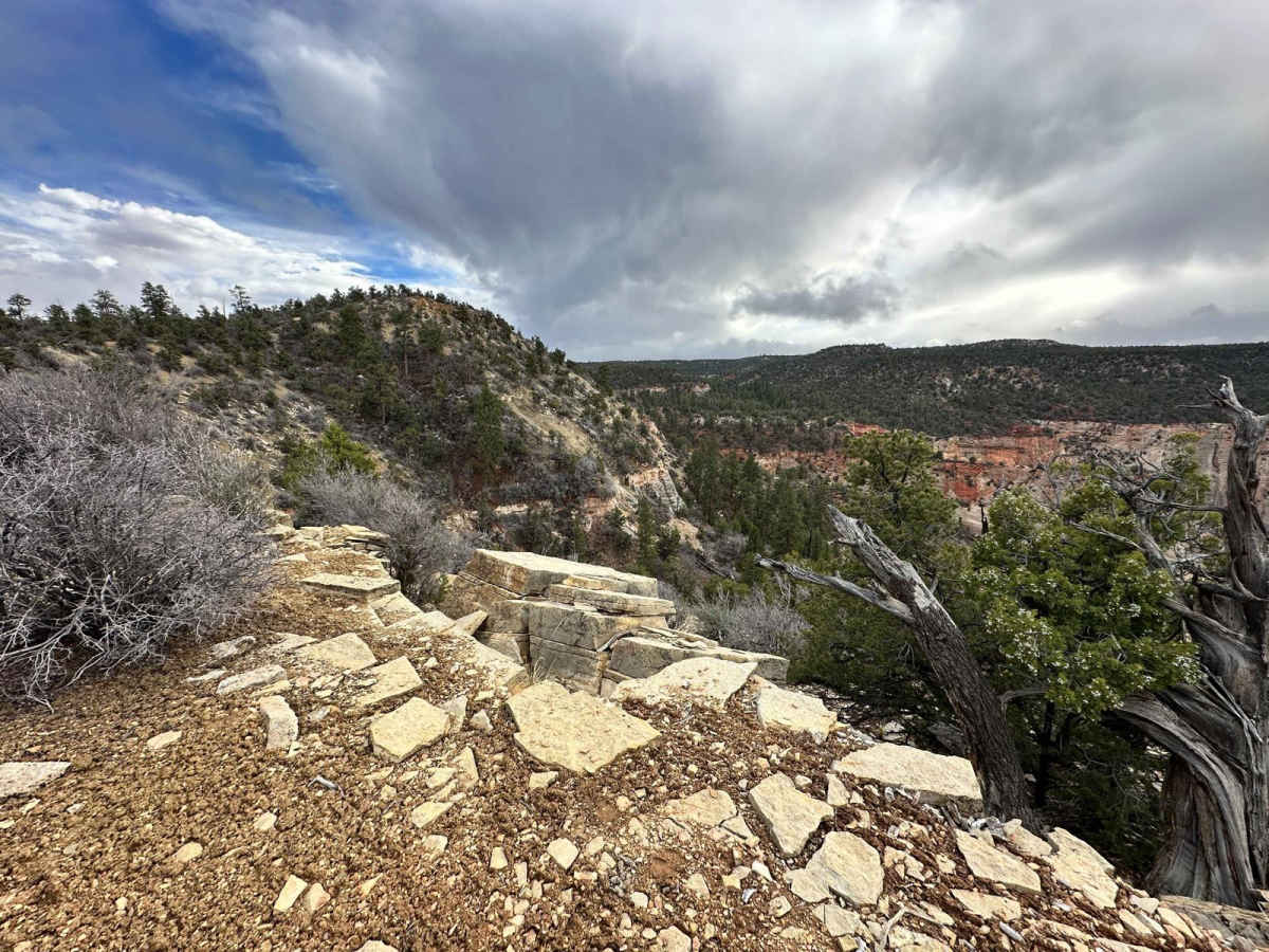 Lower Black Mesa Loop photo 3