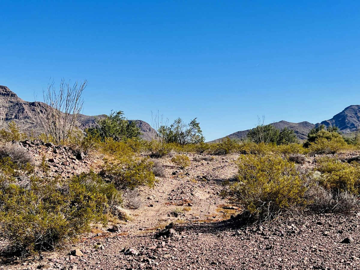 AZ Peace Trail Lava Rock Camp Trail photo 3