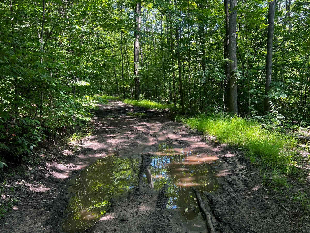 NFS 7374 trail photo