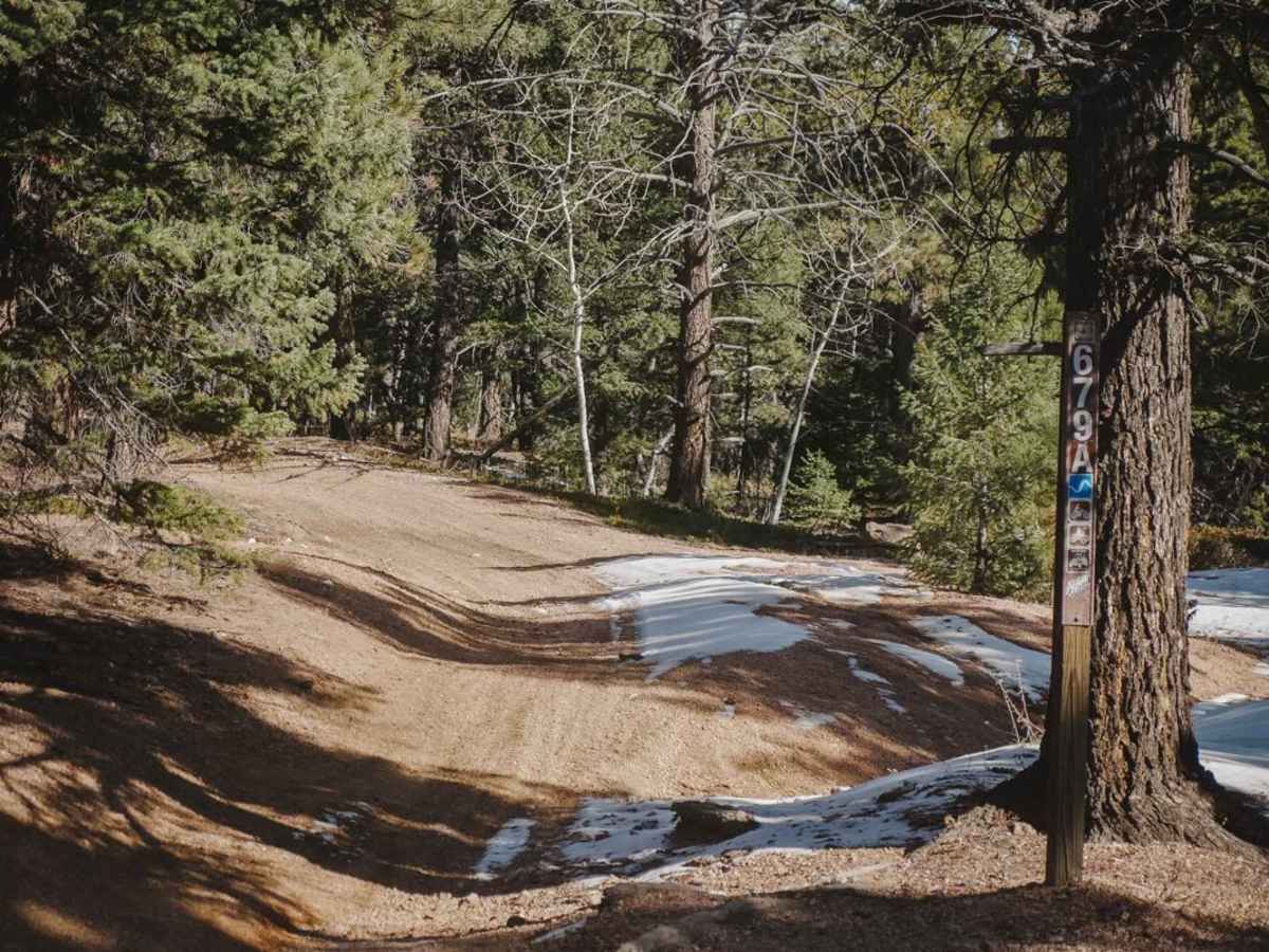 679A Devil's Head Spur ATV Trail trail photo