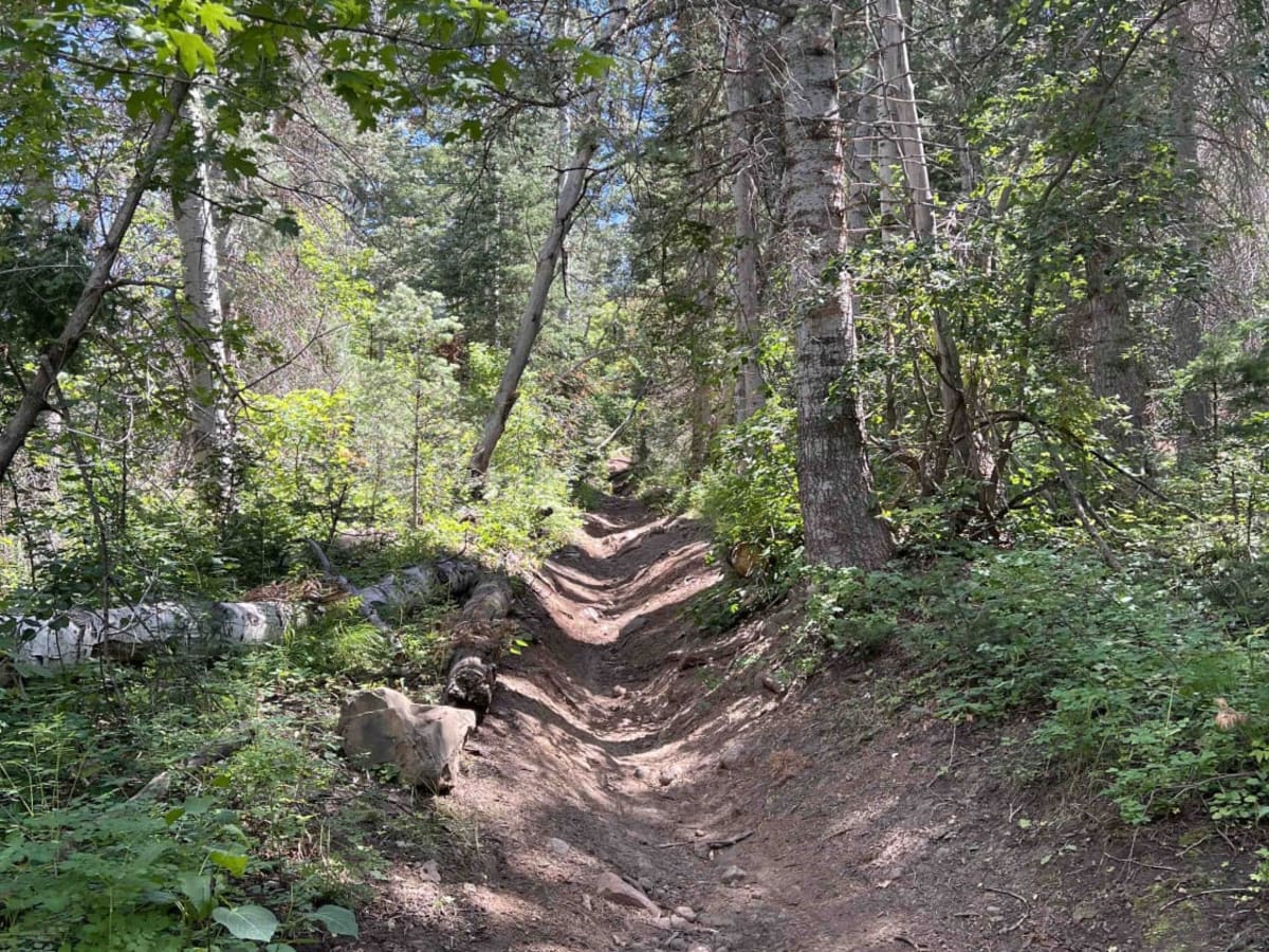 Mud Springs (2173) photo 4