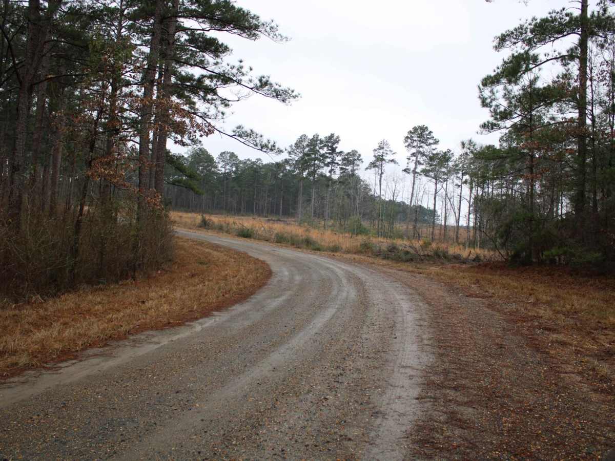 Dickerson Road (522) photo 2