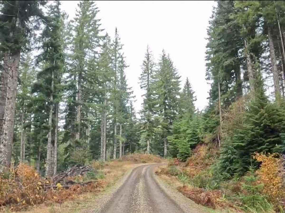 Salmonberry Railroad Tunnel Route photo 5