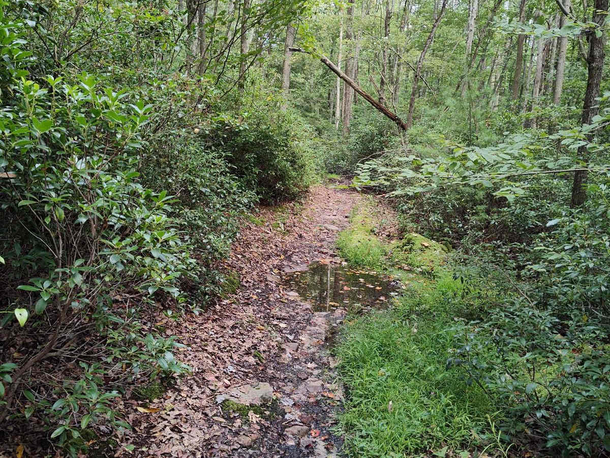 Countyline Single Track photo 3