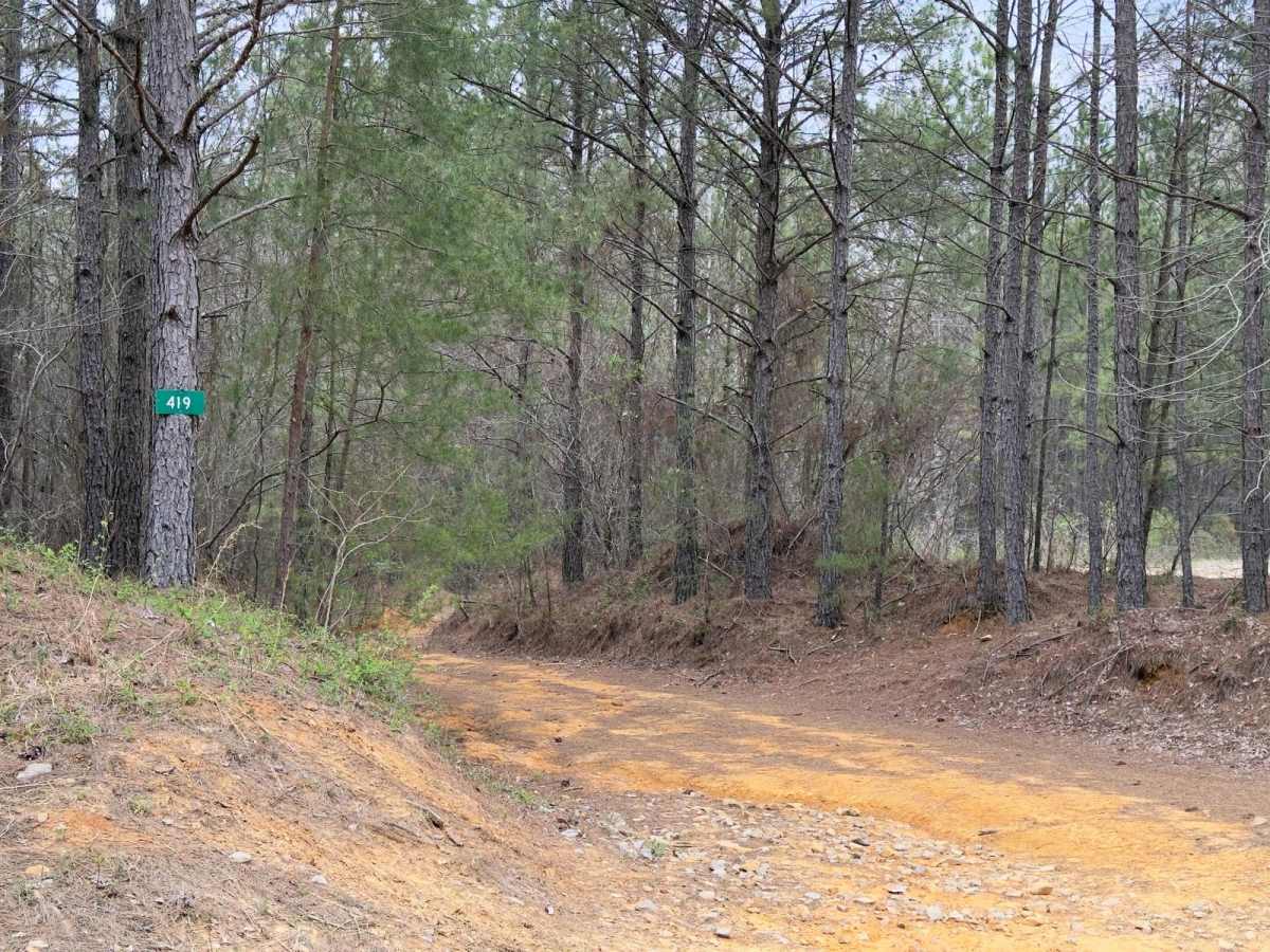 Creek Loop photo 5