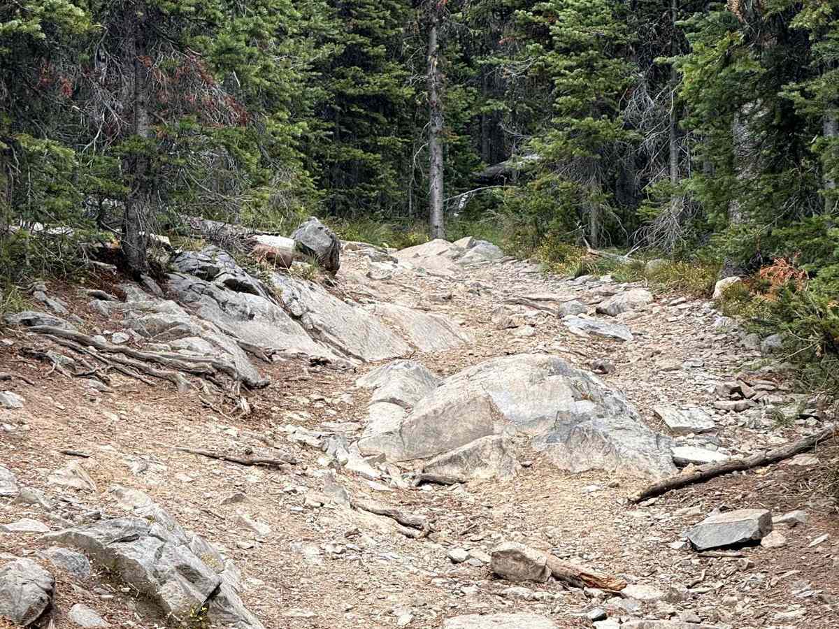 Rock Creek/Leadville photo 6