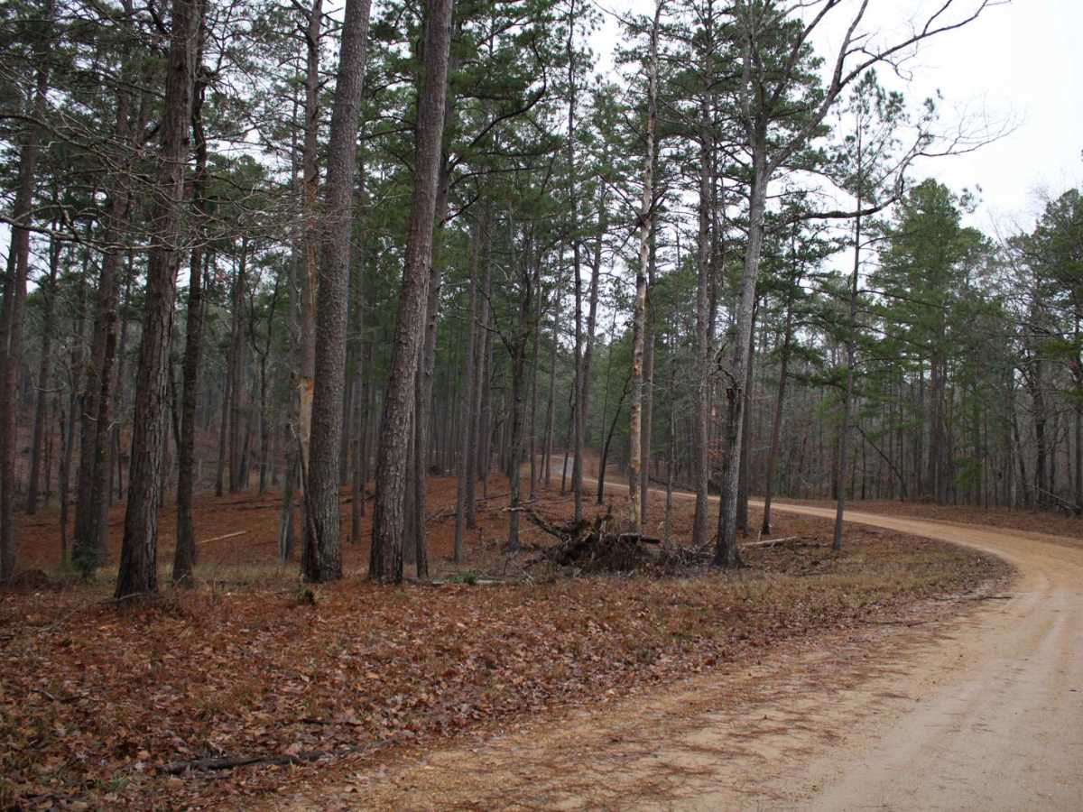 Dickerson Road (522) photo 5