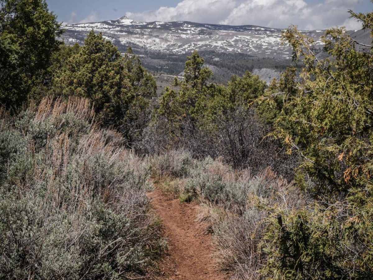 8501D & E trail photo