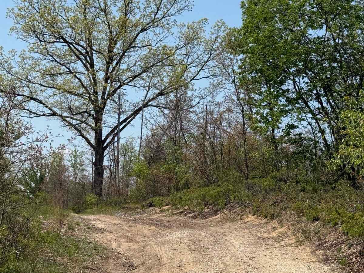 Fife Lake Trail photo 4