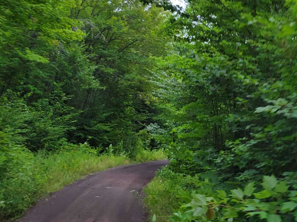 Keweenaw State Trail Segment 2 photo 6
