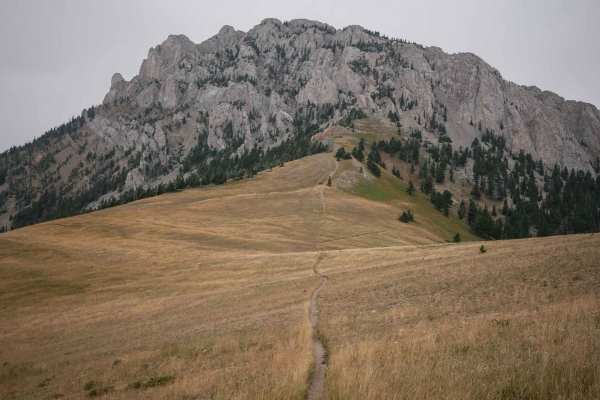 Bridger Foothills