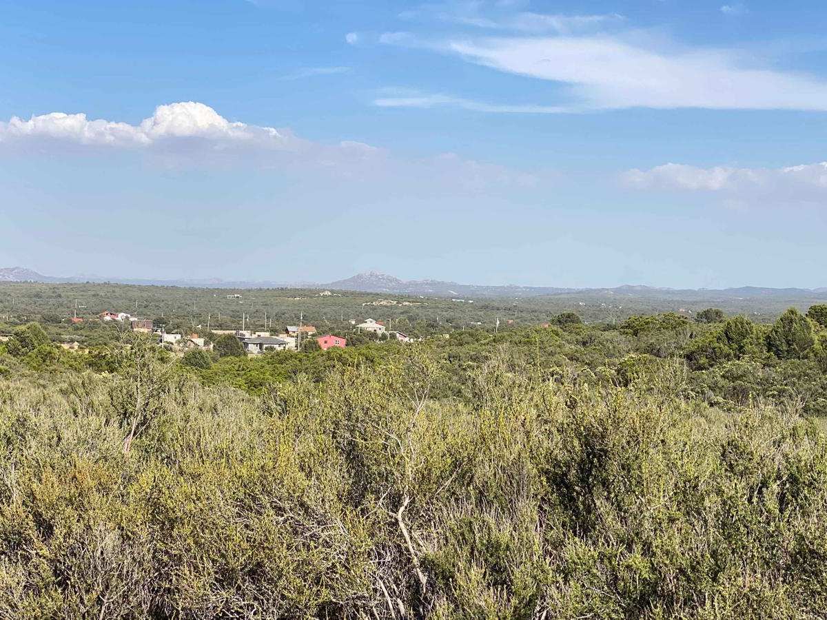 Mesa Colorado to El Hongo photo 3