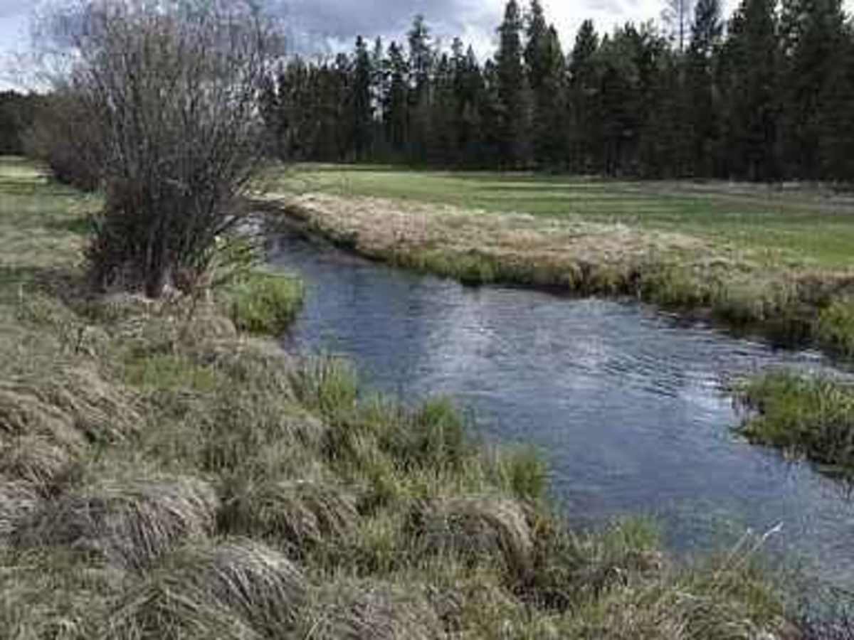 Hubbart Dam Rd photo 2