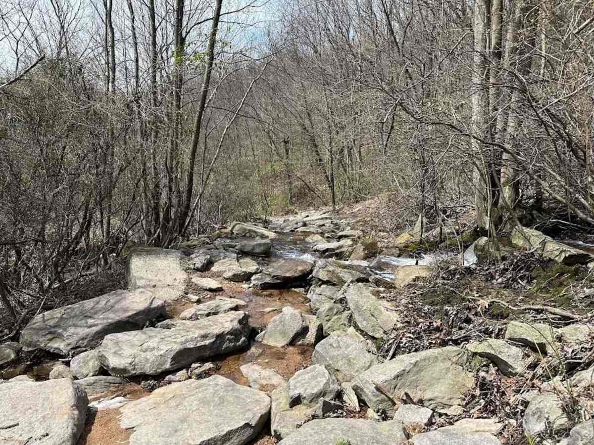 St. Keirns Obstacle photo 4