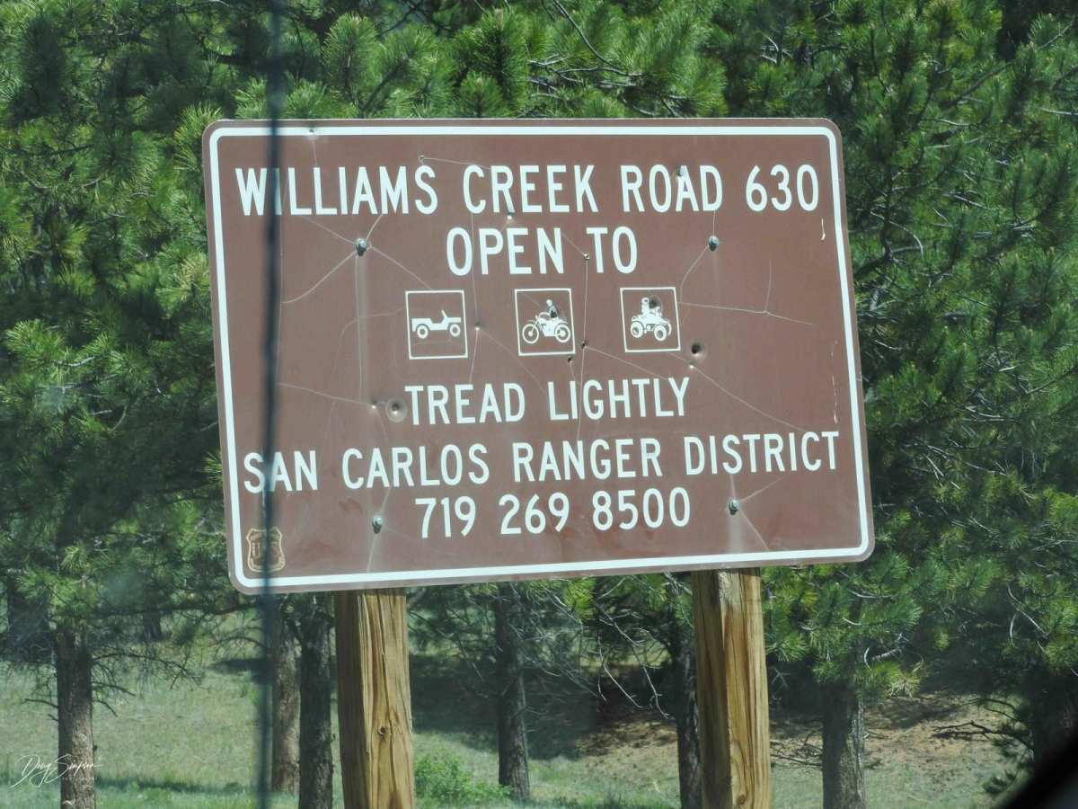 Forest Road 630/Williams Creek trail photo
