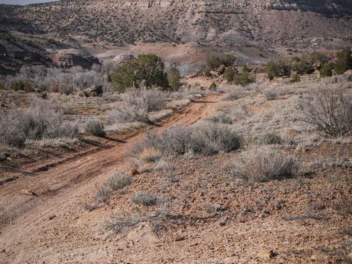 Dry Creek ATV Trail photo 6