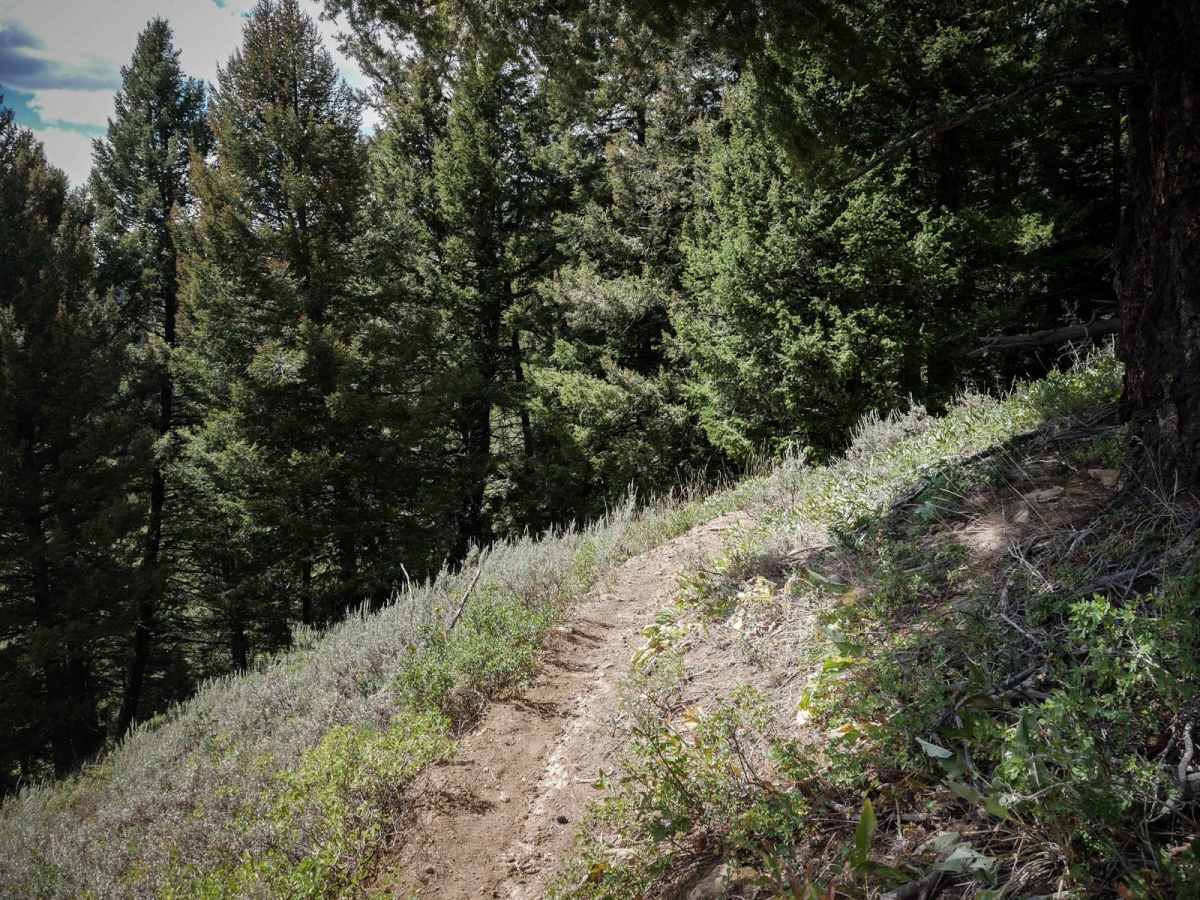 Kirkwood photo 4