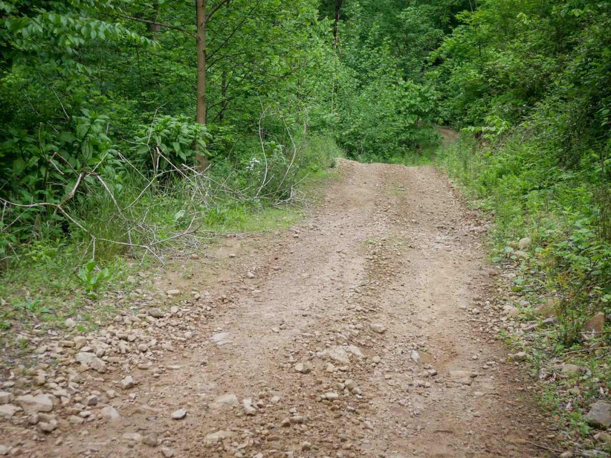 B43 trail photo