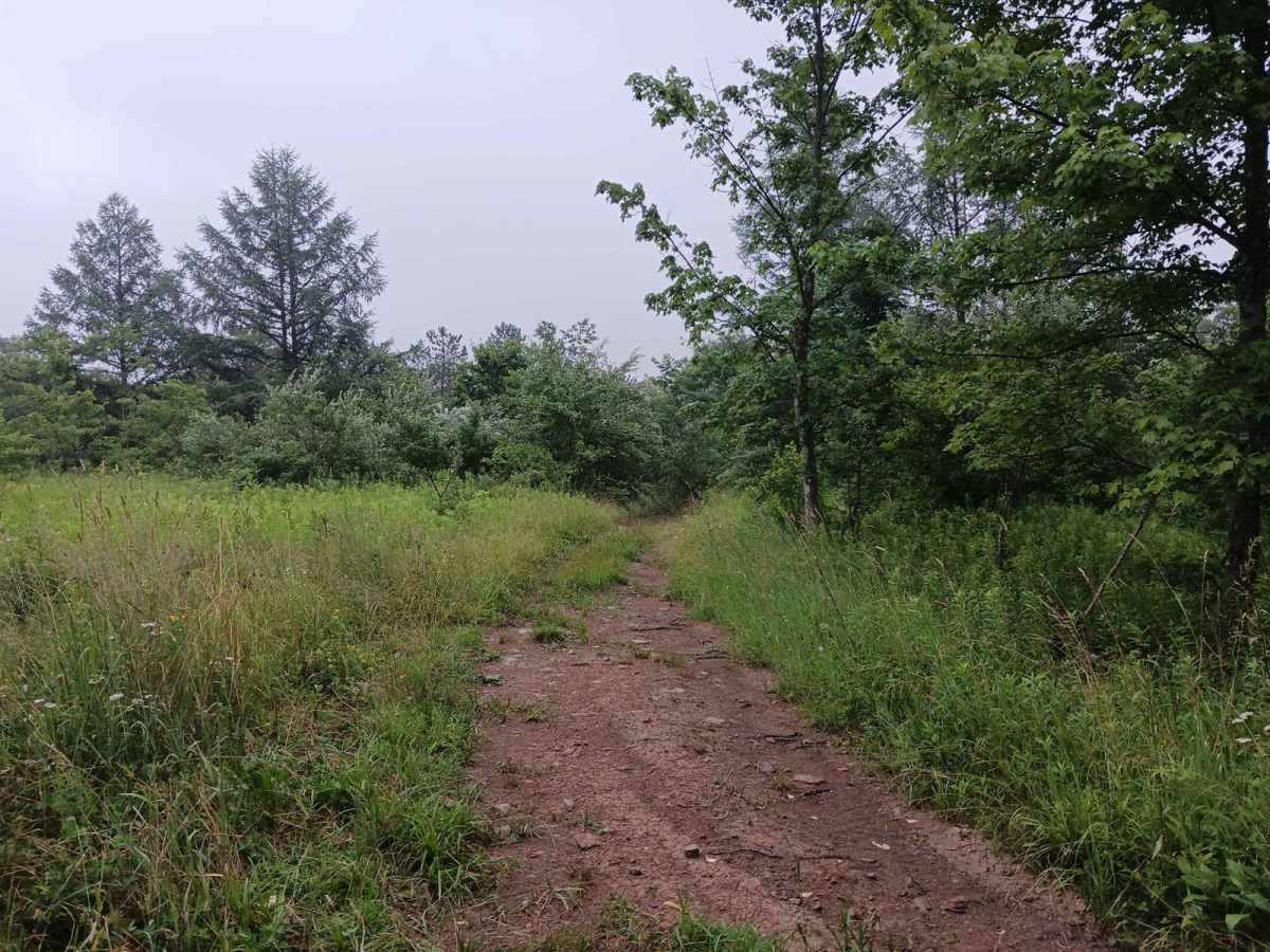 Trail 3D - Rock Run Recreation Area photo 3