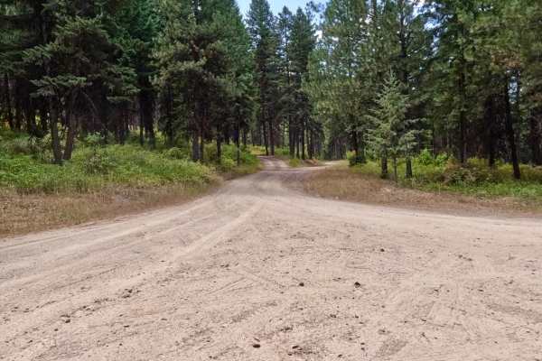 Cold Peak Trail (FSR 3803)