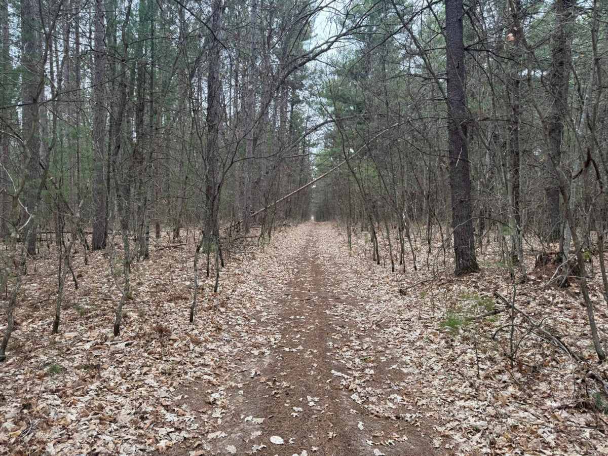 Traverse City ORV Route South photo 2