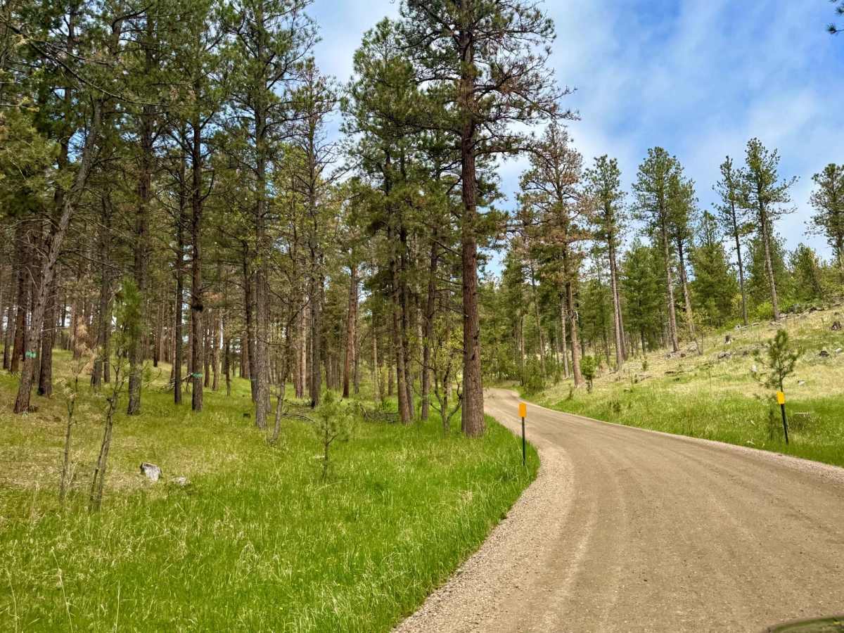 Boulder Hill - FS 358 photo 6