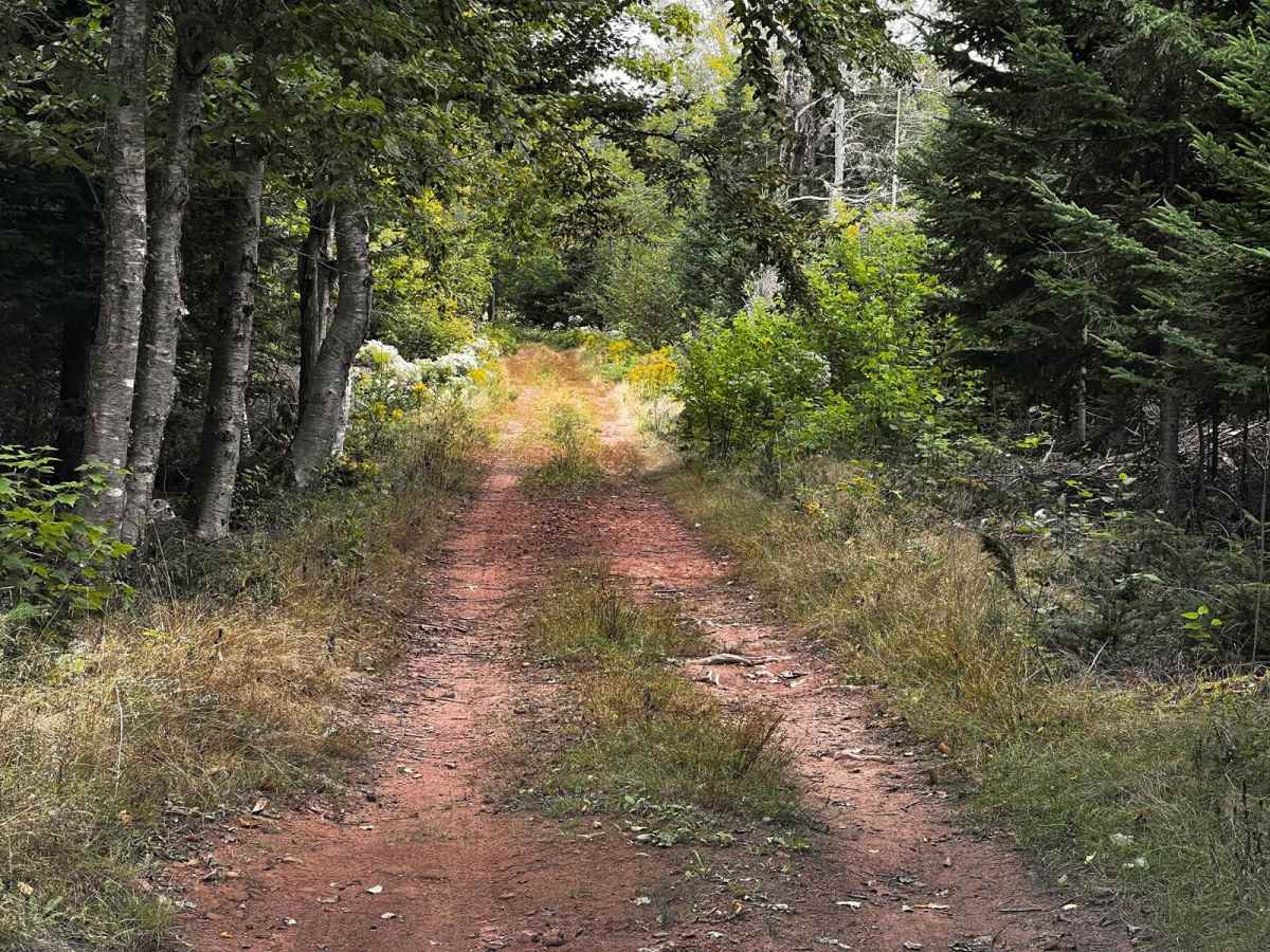 PEI Two Mile Run photo 3